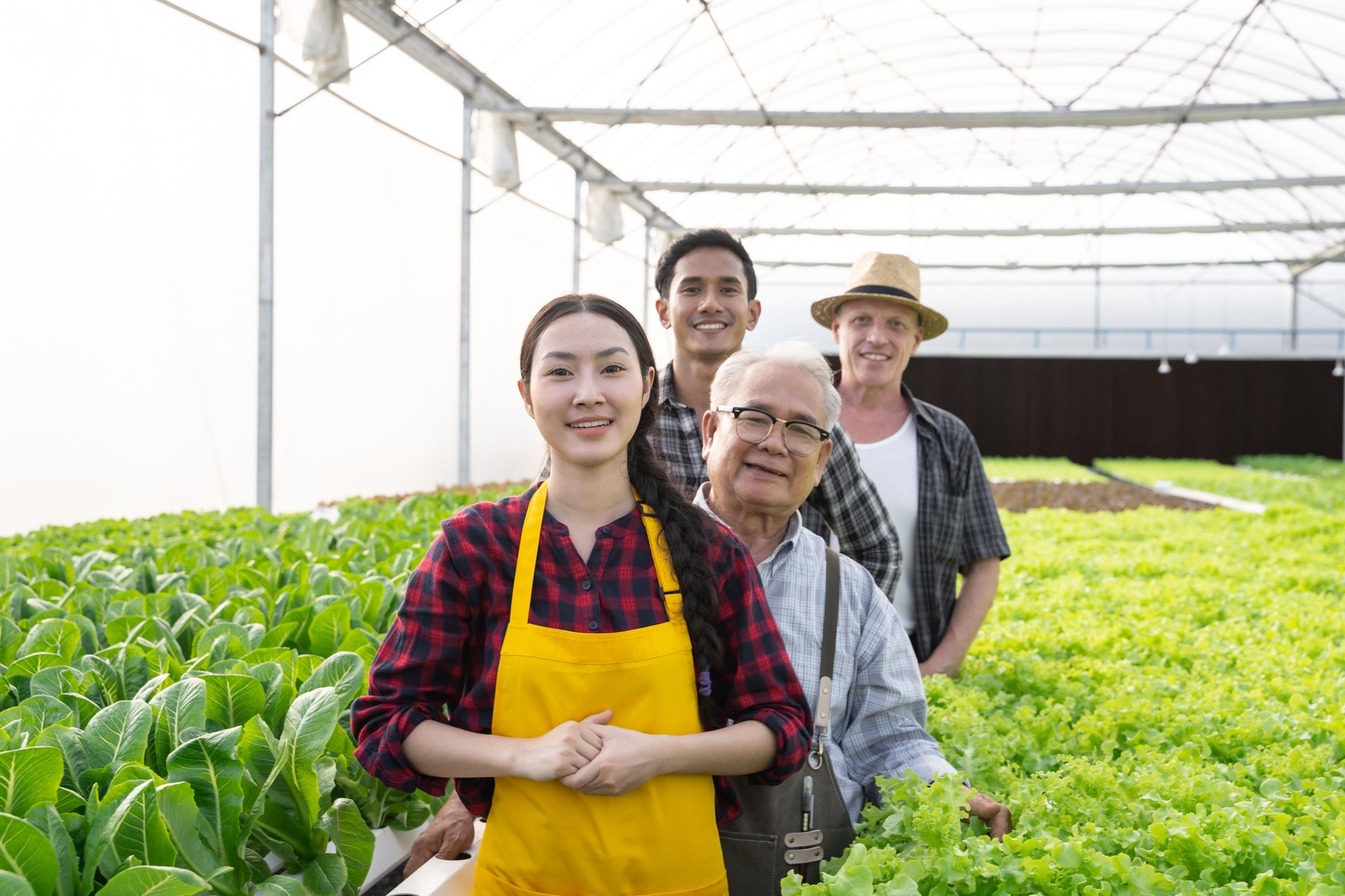 Portrait Group of team worker organic vegetables. Hydroponics farm organic fresh harvested vegetables concept
