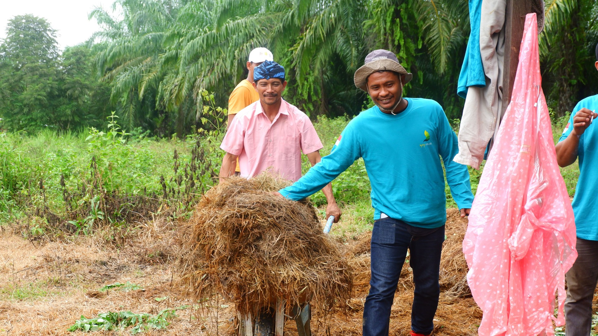 Farmers are working together to make compost from organic materials