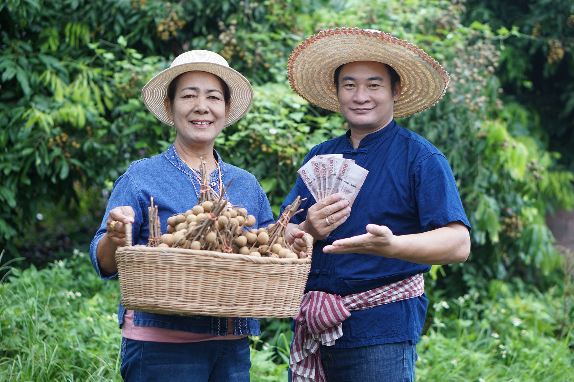Happy Asian gardeners, holds Thai banknote money from selling fruits in garden. Concept, Agricultural crops, Economic and export fruits. Gardener sells longans. Income from crops.