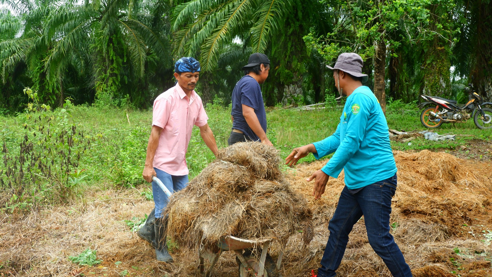 Farmers are working together to make compost from organic materials