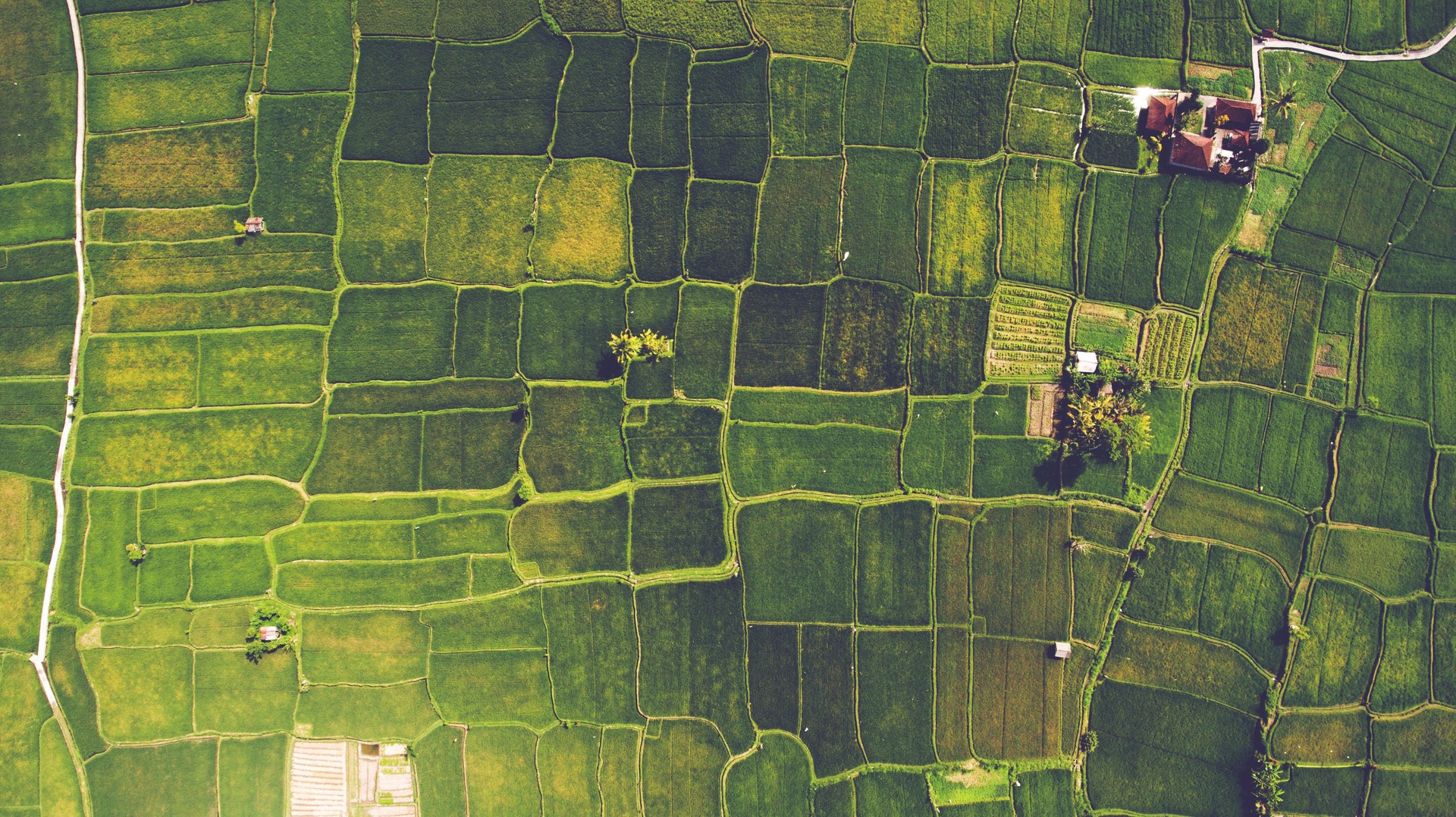 Aerial landscapes