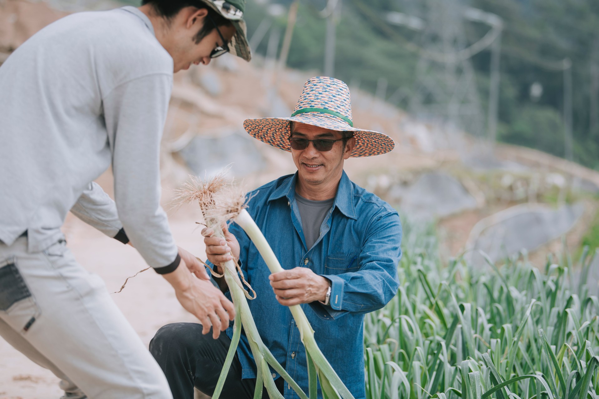 Asian chinese active senior man and his son examining picking leek organic farm growth harvesting